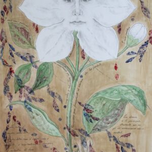 Metamorfosi di Cloe Bianco    Il gelsomino notturno