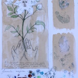Il gelsomino notturno, foglie e fiori