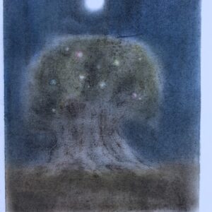 L'Albero della Vita studio